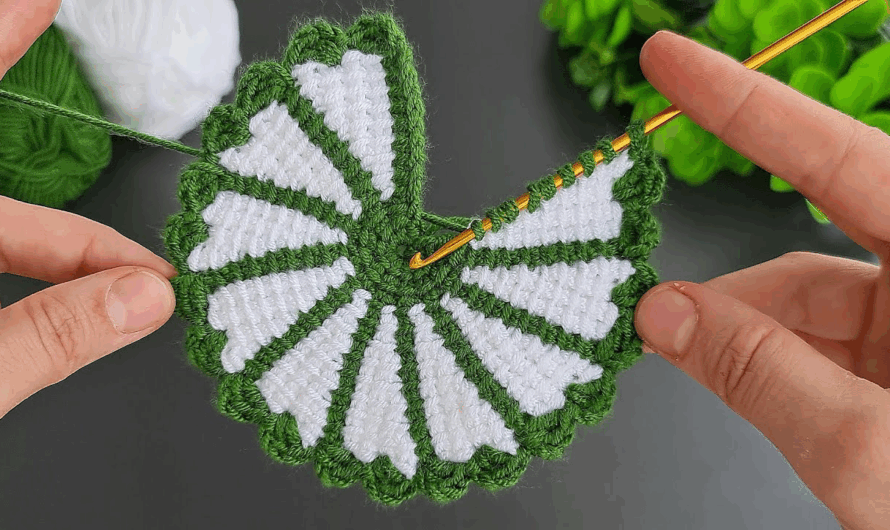 How to Super Beautiful Coaster, Motif Crochet Knitting Model