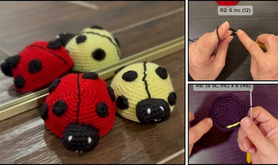 How to Crochet a Cute Ladybug✨💕🐞🐞🐞