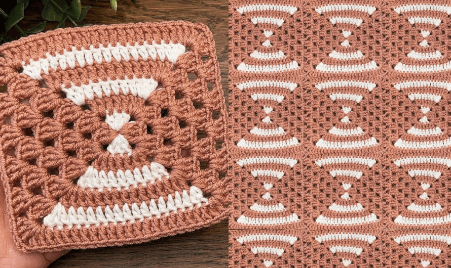 New Model 🤩 Easy Granny Square Tutorial Step-by-Step Crochet for Beginners✨🌺🌸